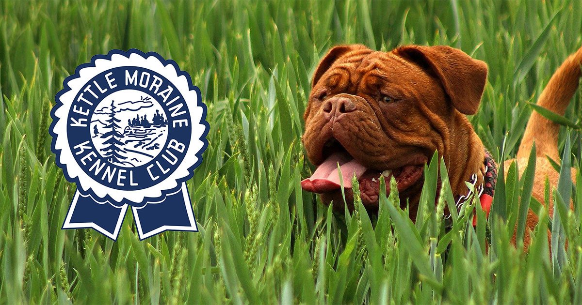 Kettle Moraine Kennel Club's 2023 Dog Show Information