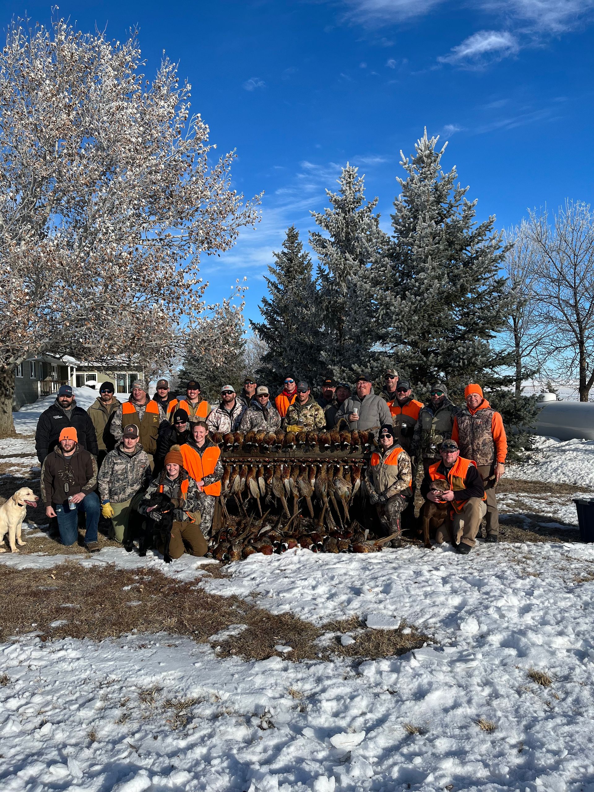 Pheasant Hunts in North Dakota Prime Pheasant Hunting Habitat