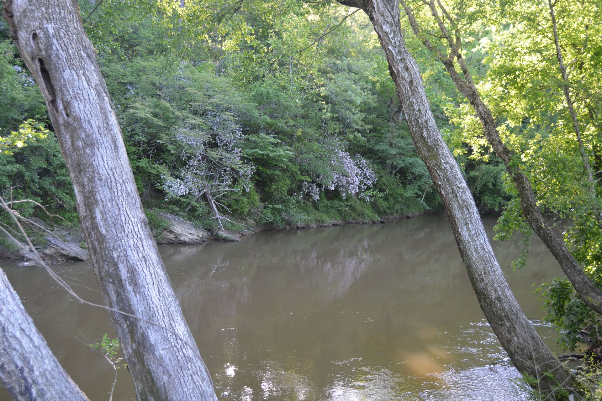 Tallapoosa River RV and Outdoor