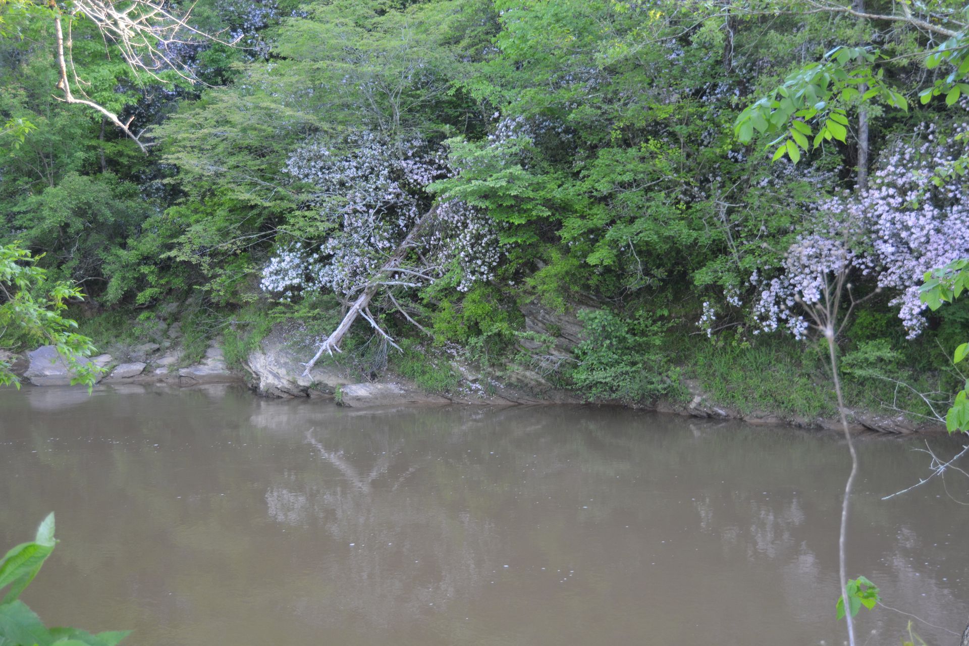 Tallapoosa River RV and Outdoor