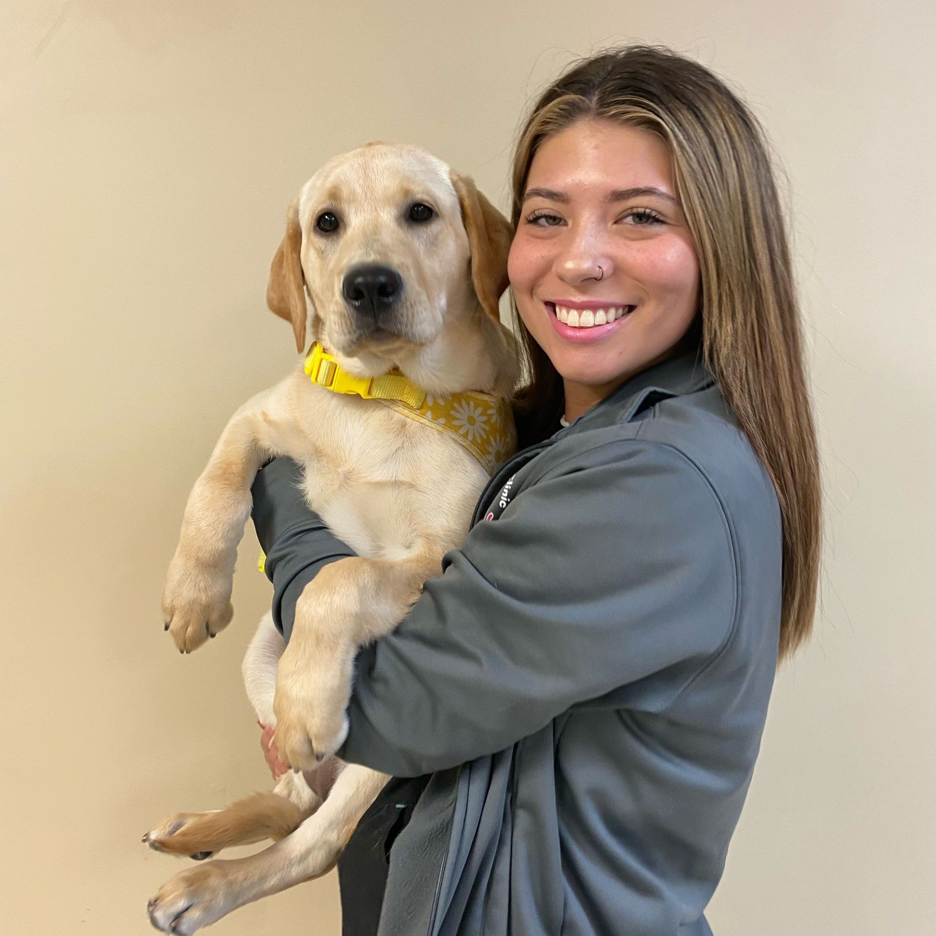 Meet Our Team Chipman Road Animal Clinic Lee's Summit, MO