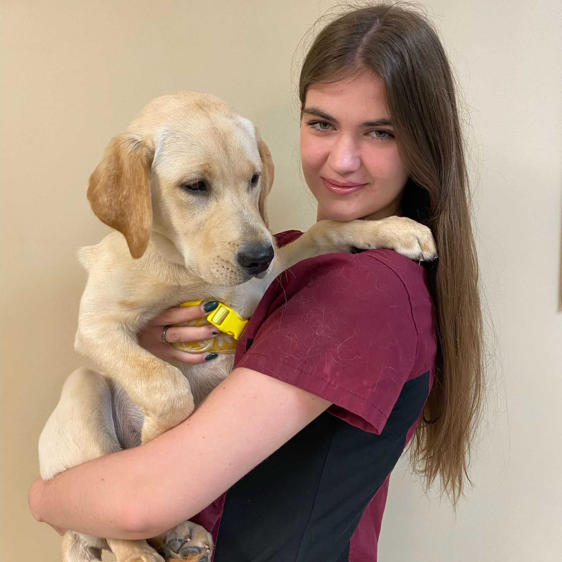 Meet Our Team Chipman Road Animal Clinic Lee's Summit, MO