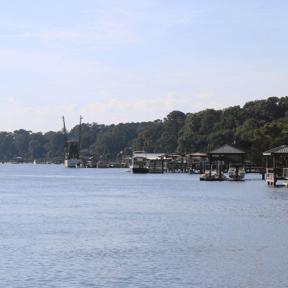 Bluffton and Hilton Head's 1 Real Estate Agent