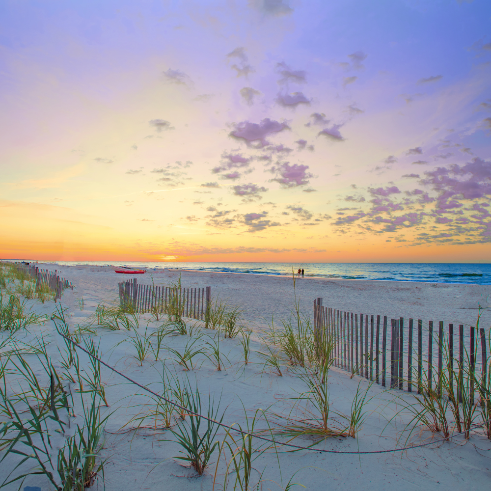 Bluffton and Hilton Head's 1 Real Estate Agent