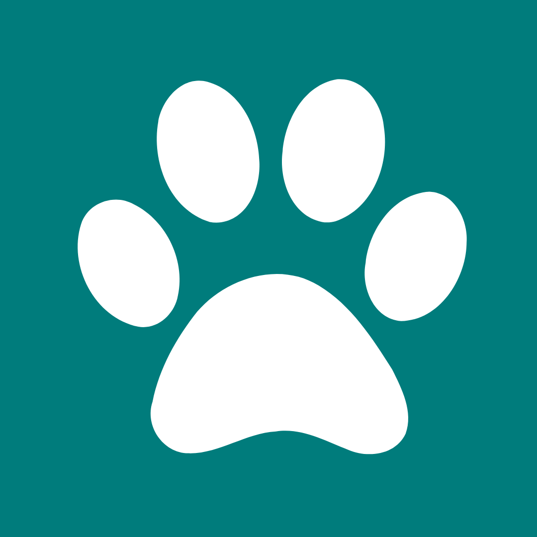 Professional Pet Cleaning Products Near Me Mr. Derpy