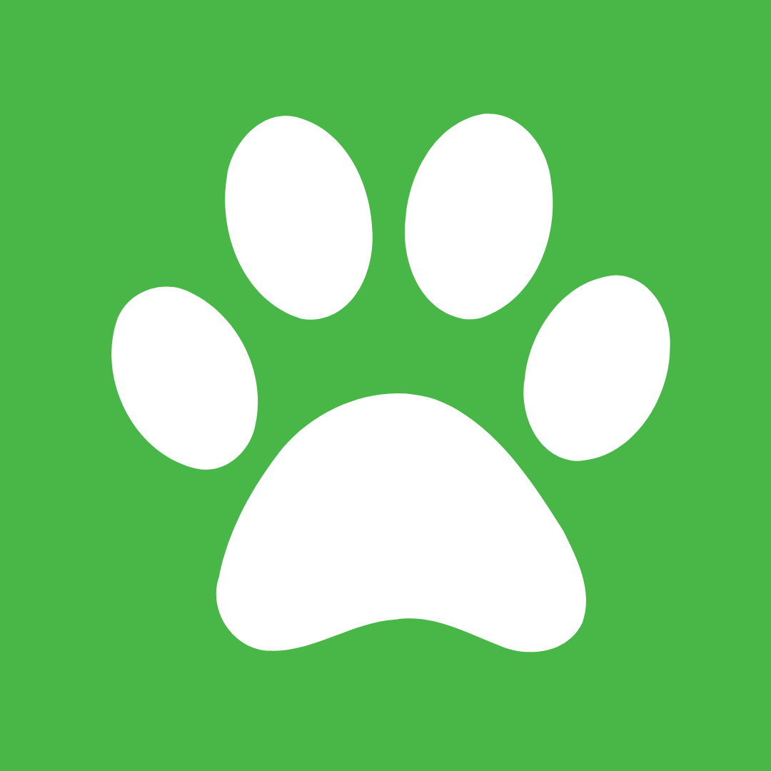 Professional Pet Cleaning Products Near Me Mr. Derpy