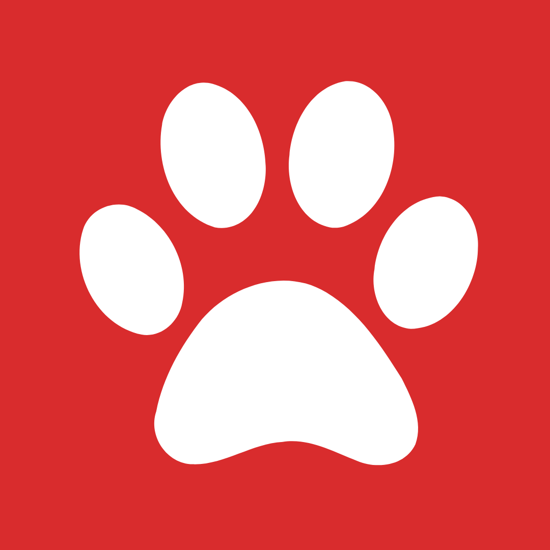 Professional Pet Cleaning Products Near Me Mr. Derpy