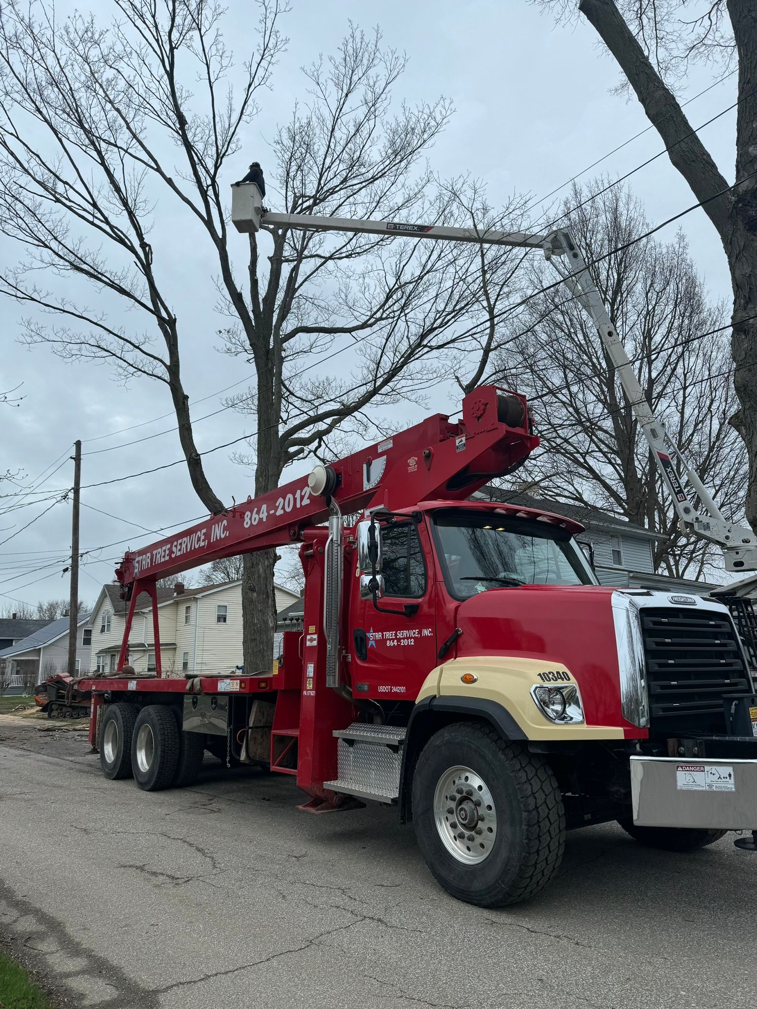 Expert Tree Care Services Erie, PA Star Tree Service