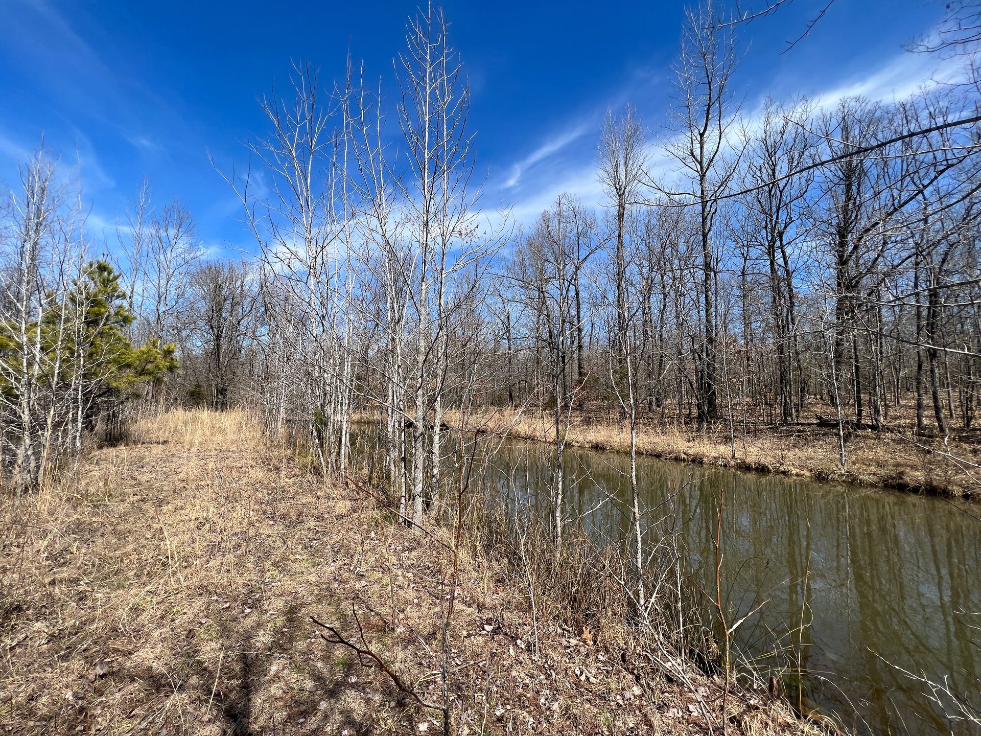 Blue Sky Realty Piggott, AR