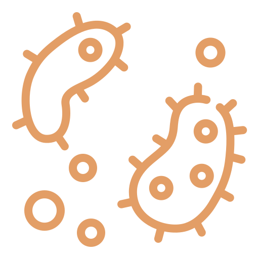 Carolina Ductmasters Greensboro, NC Durham, NC Duct Service Company