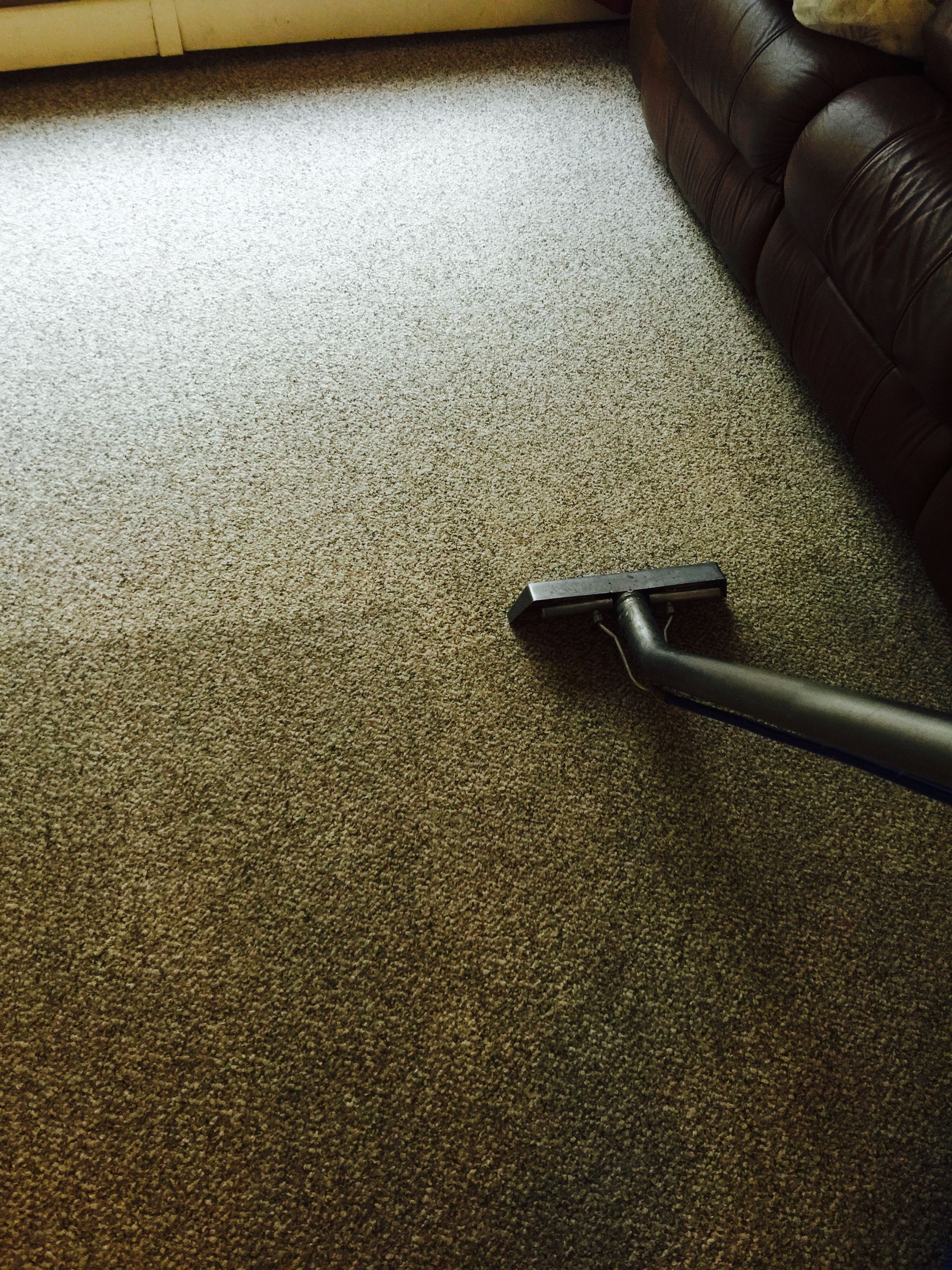 Cleaning Services Avondale, AZ Southwest Carpet
