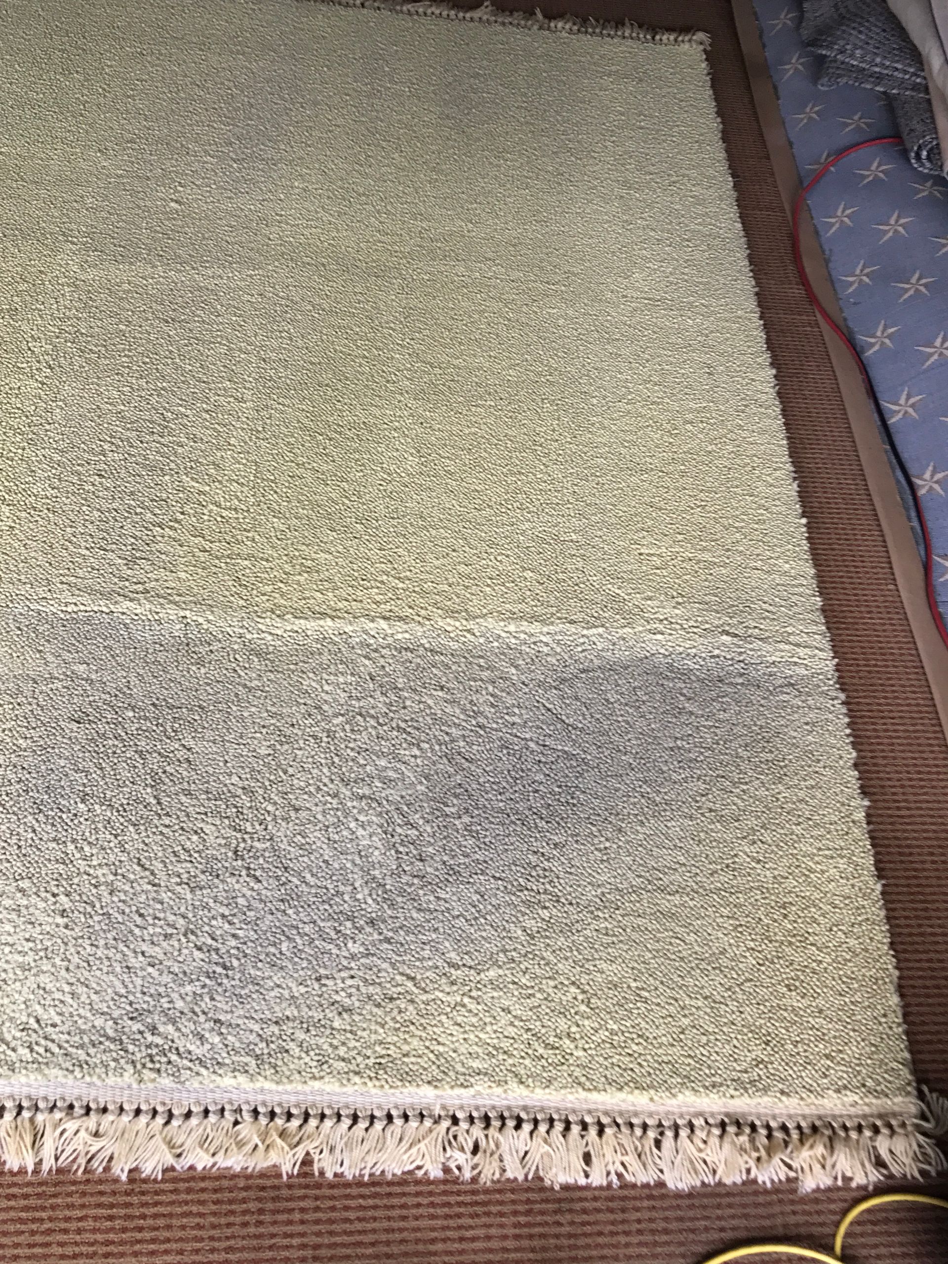 Cleaning Services Avondale, AZ Southwest Carpet
