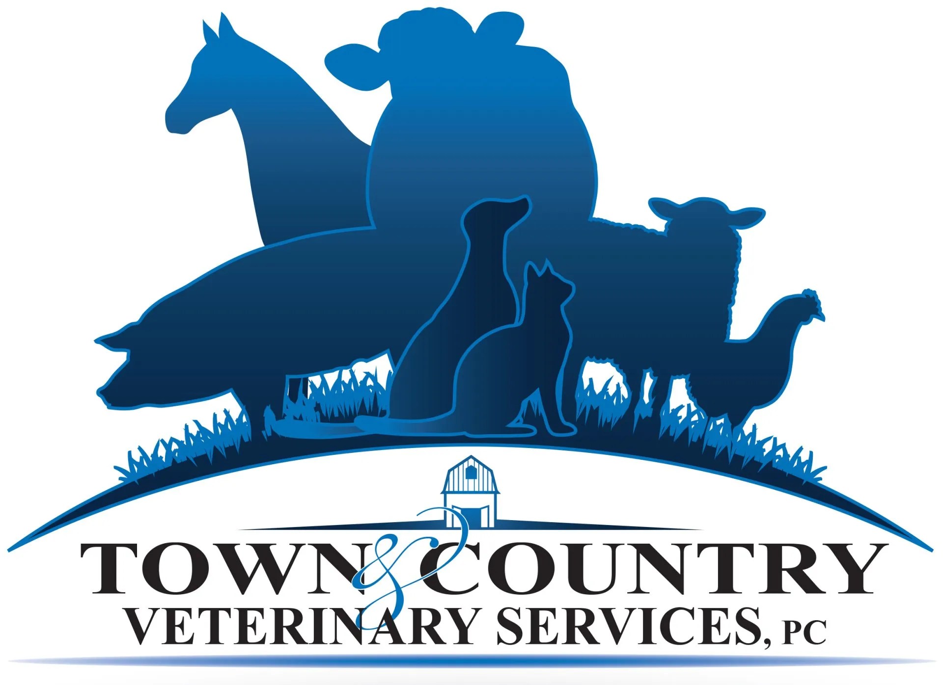 Town & Country Veterinary Services Montrose, PA