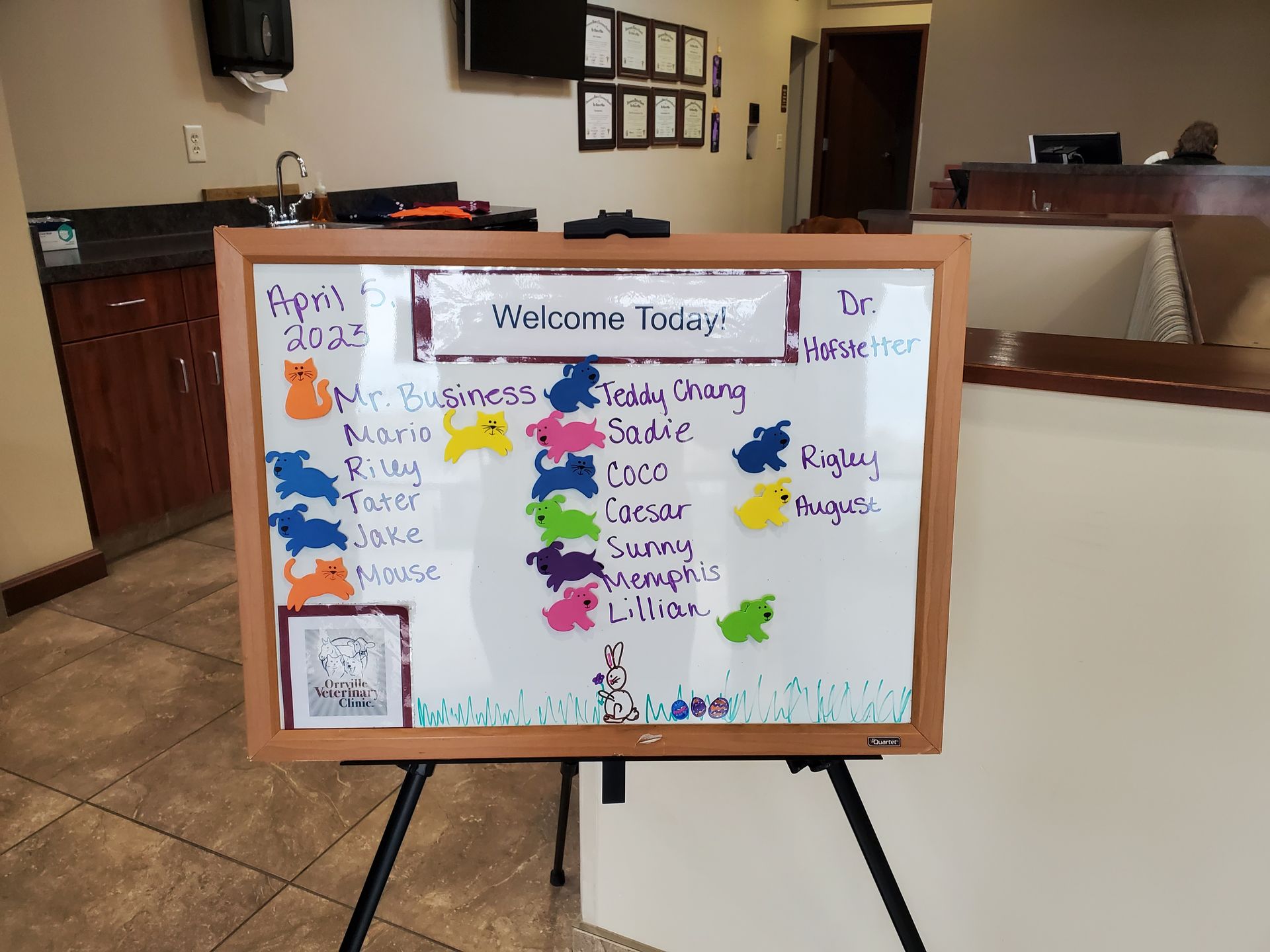 Who We Are Veterinary Wellness Partners