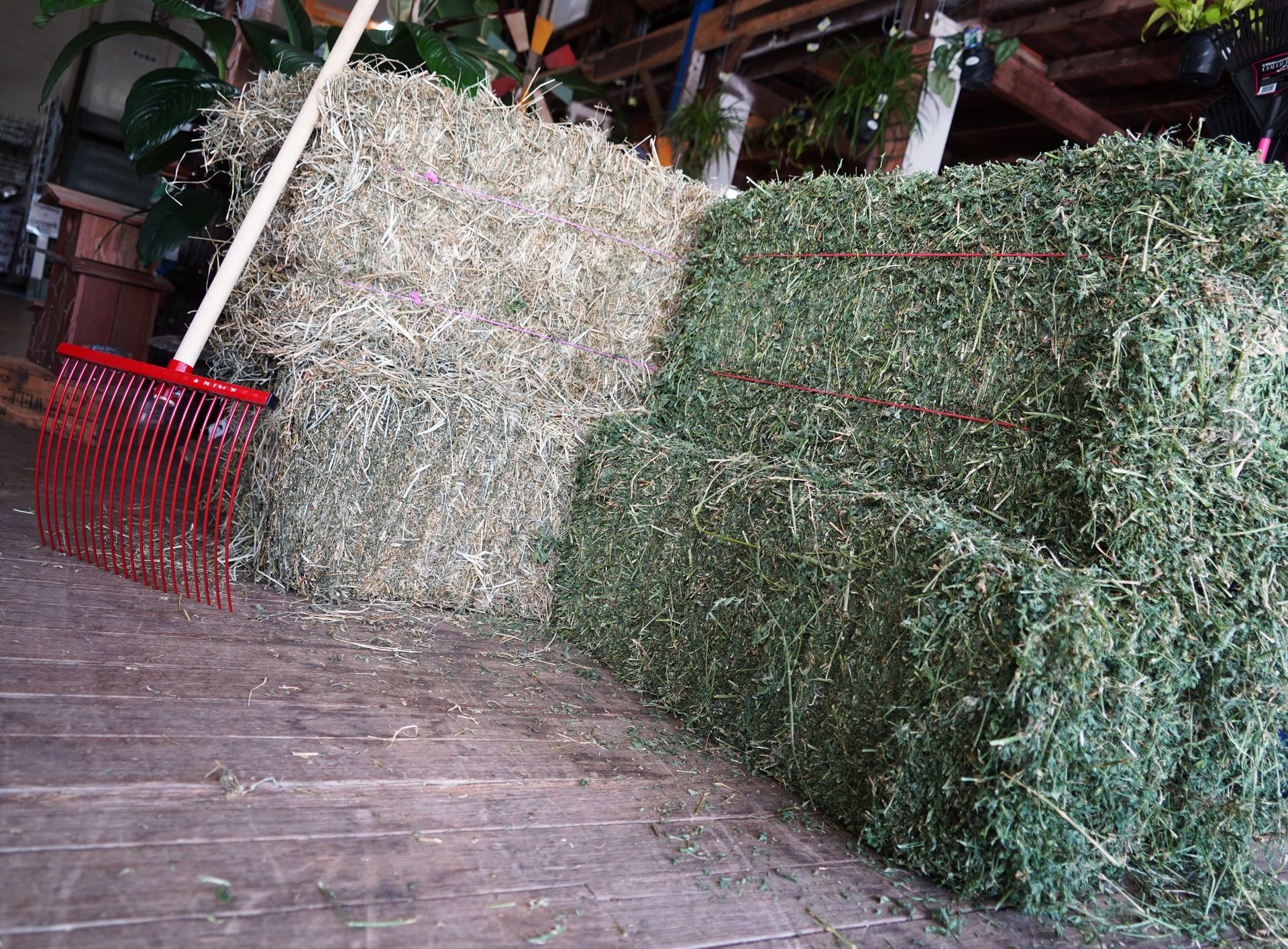Hay in Gympie Sauers Produce & Garden Centre