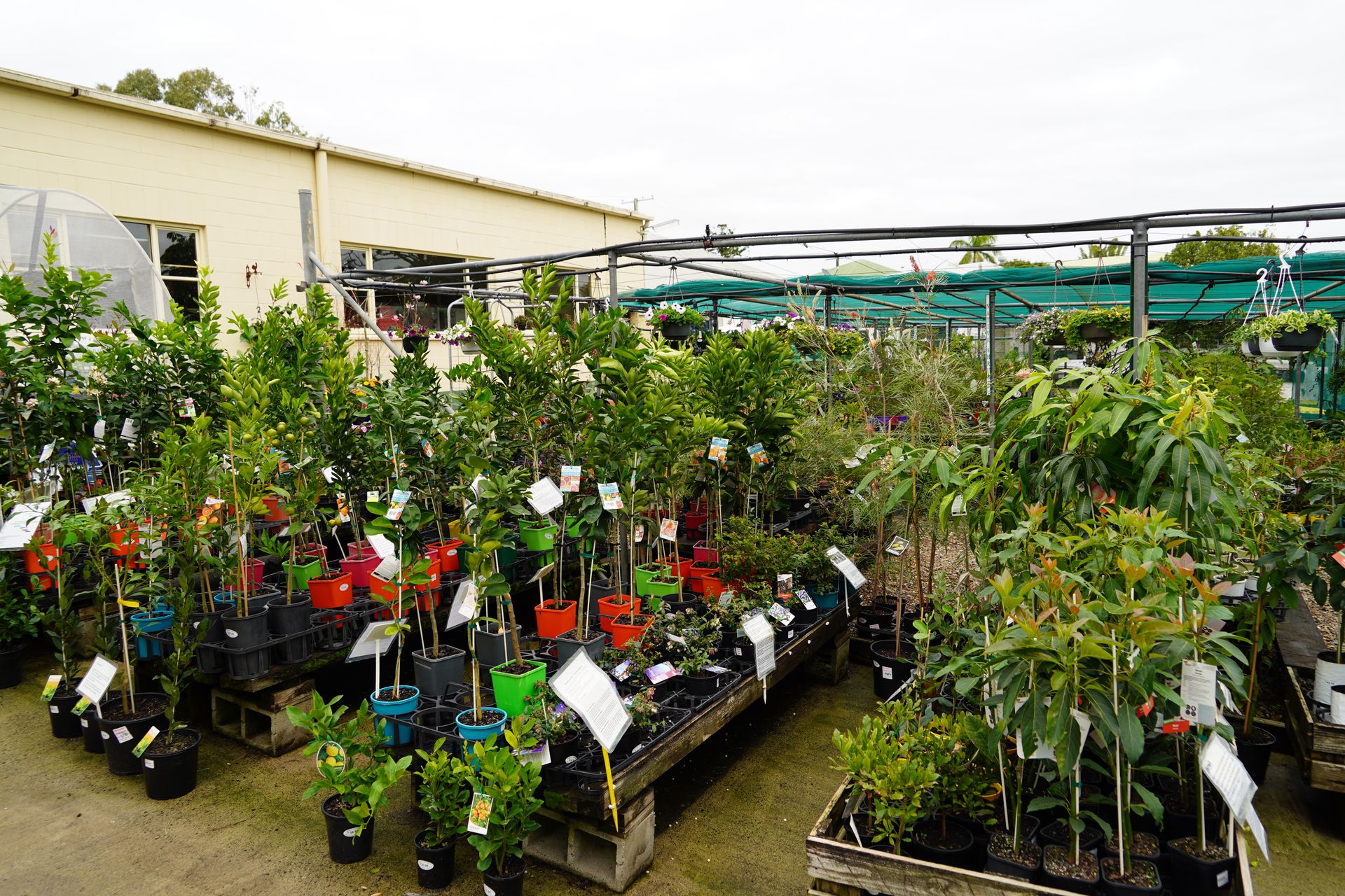 Nursery in Gympie Sauers Produce & Garden Centre