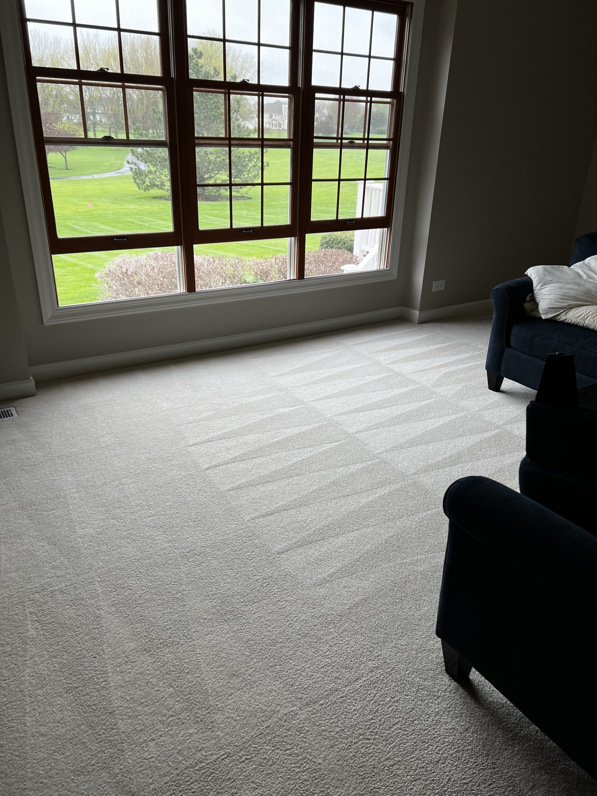 Our Work Carpet Cleaning Pingree Grove, IL SimplyPure Cleaning Company