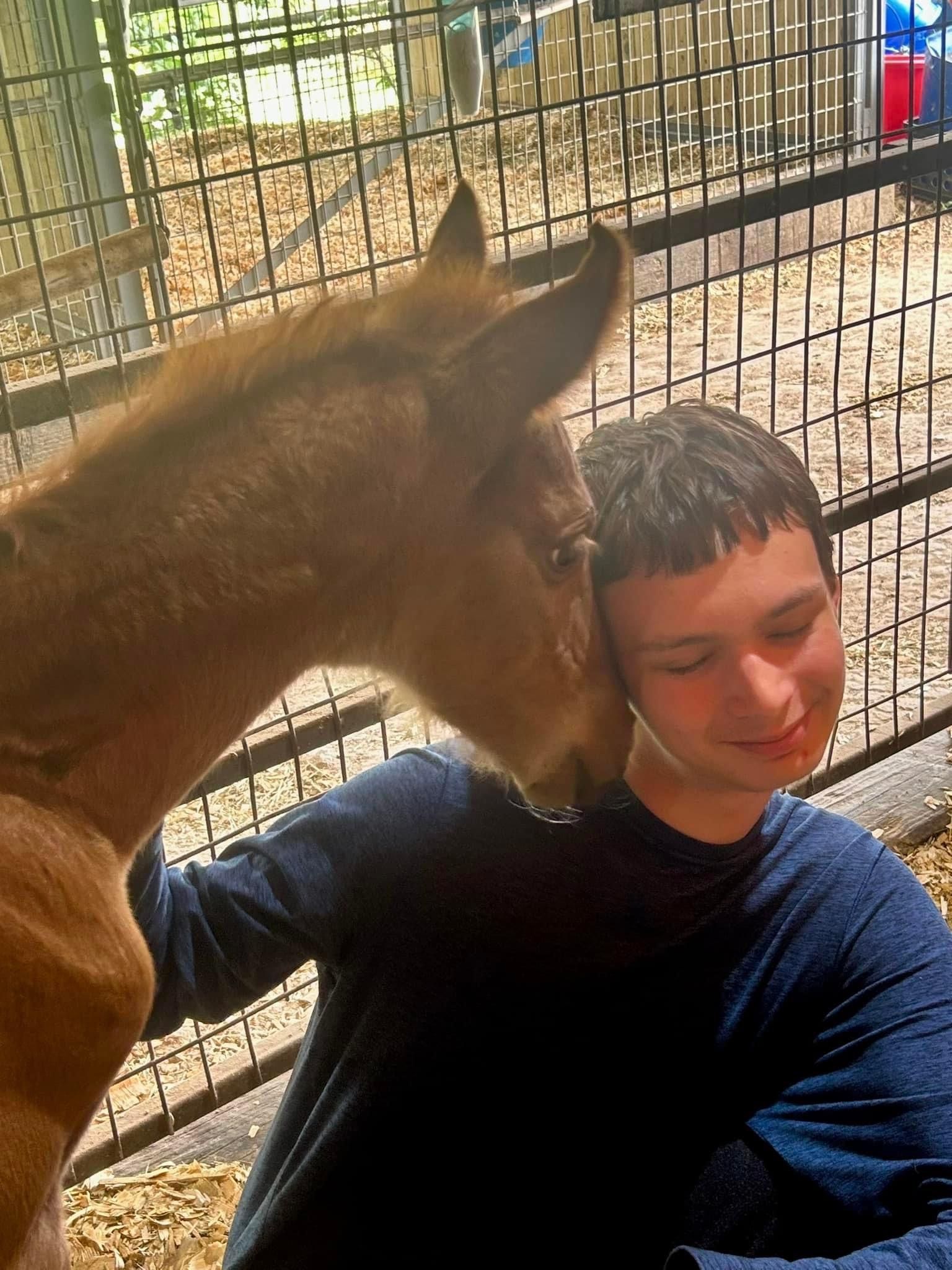 Vantage Point Farm Barn News • Horseback Riding • Tomball, TX