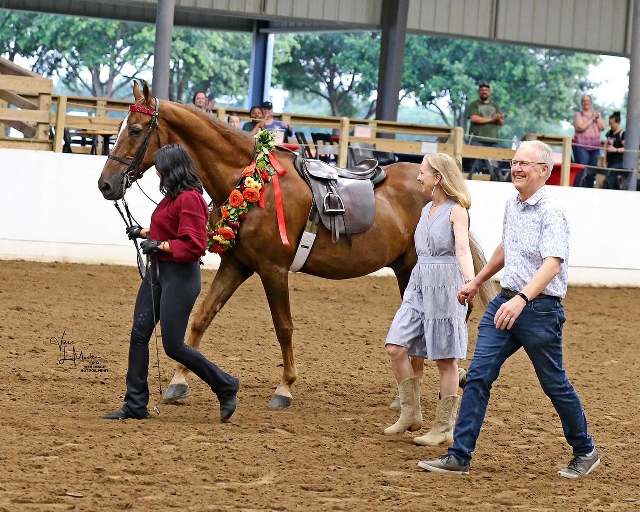 Vantage Point Farm Barn News • Horseback Riding • Tomball, TX