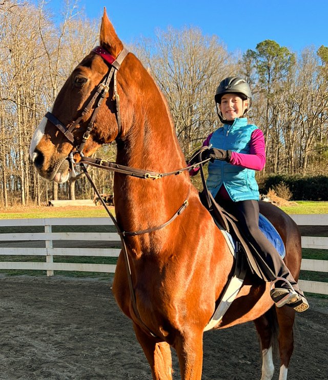 Top Horseback Riding Lessons near Charlotte, NC Lenux Stables & Riding