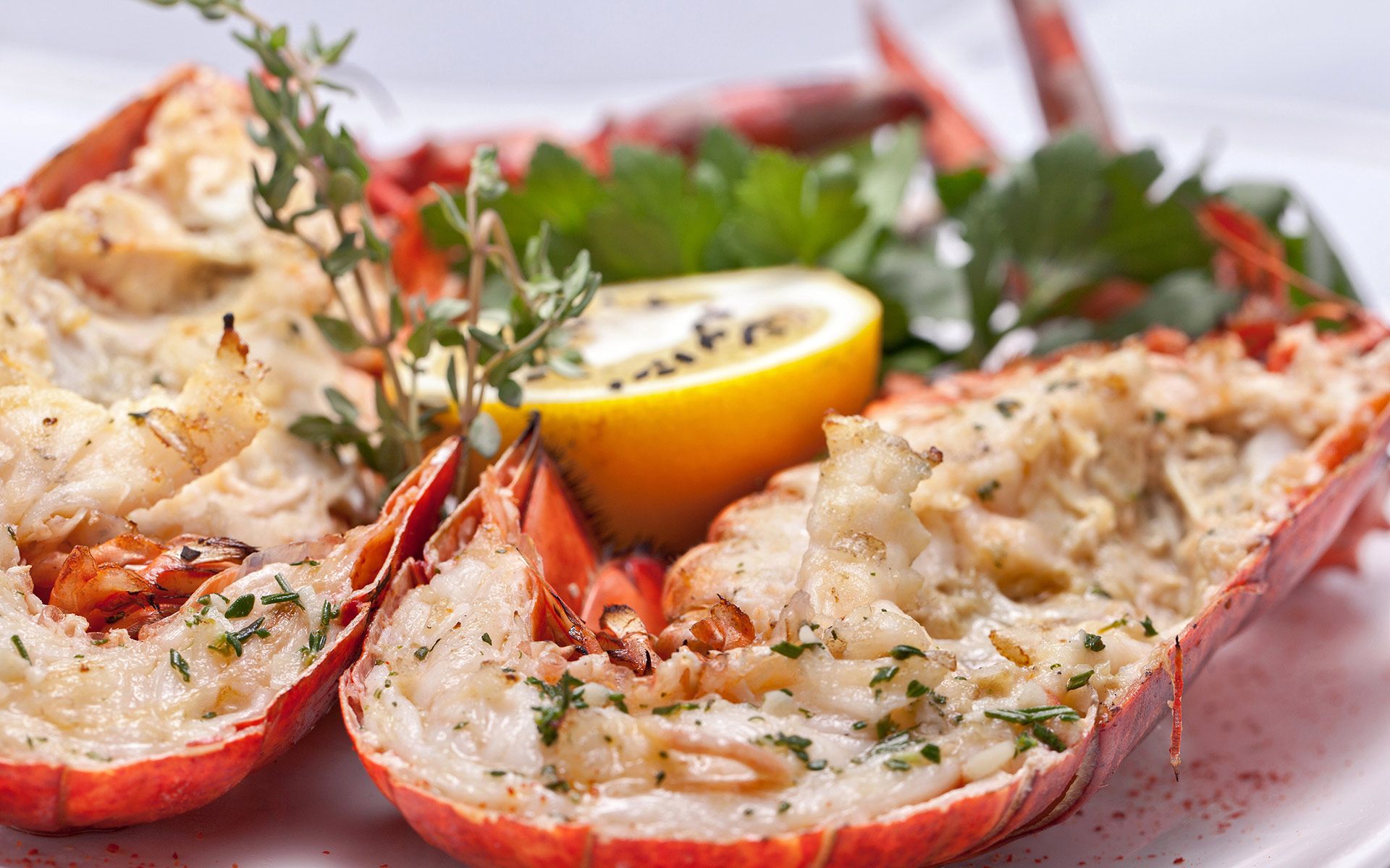 Fresh Seafood Tampa, FL Lobster Haven