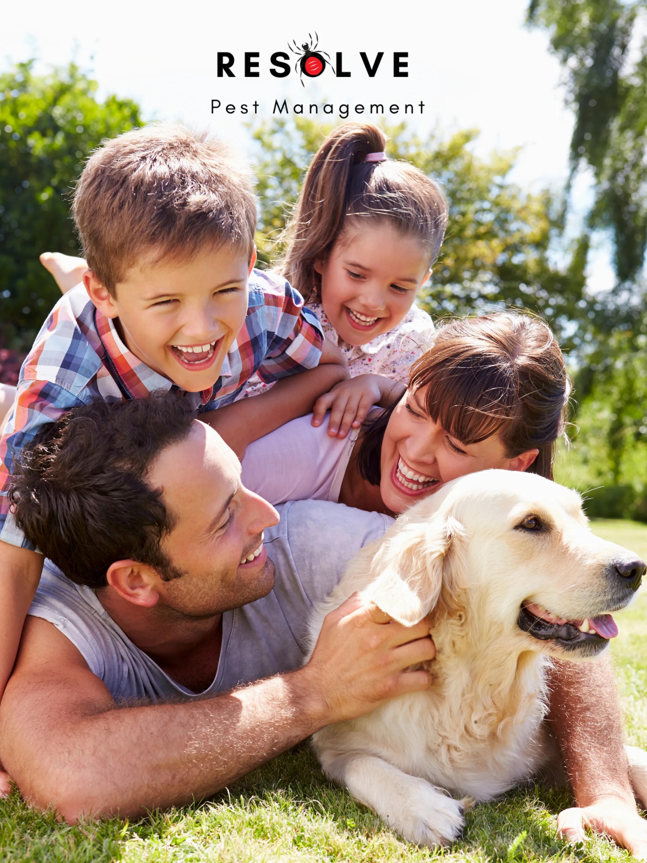 InDepth Guide To Black Widow Spiders In New Jersey