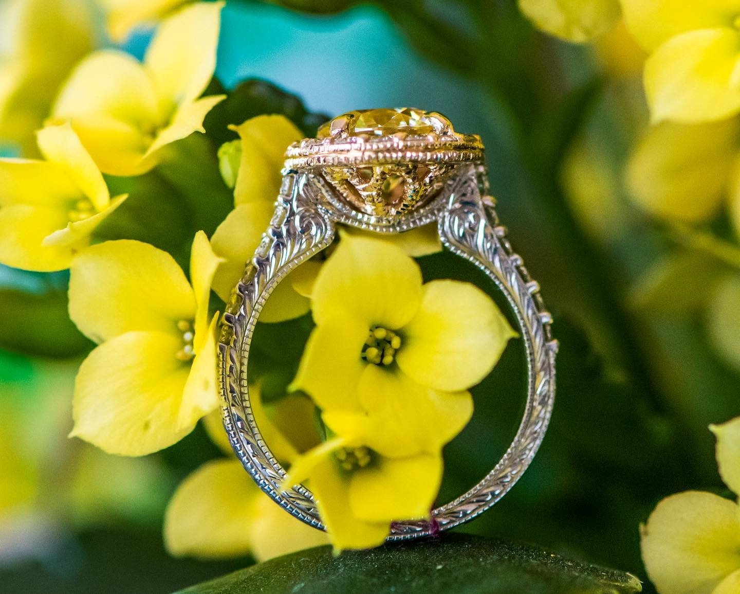 Our Gallery Burleson, TX Southern Gem Fine Jewelry