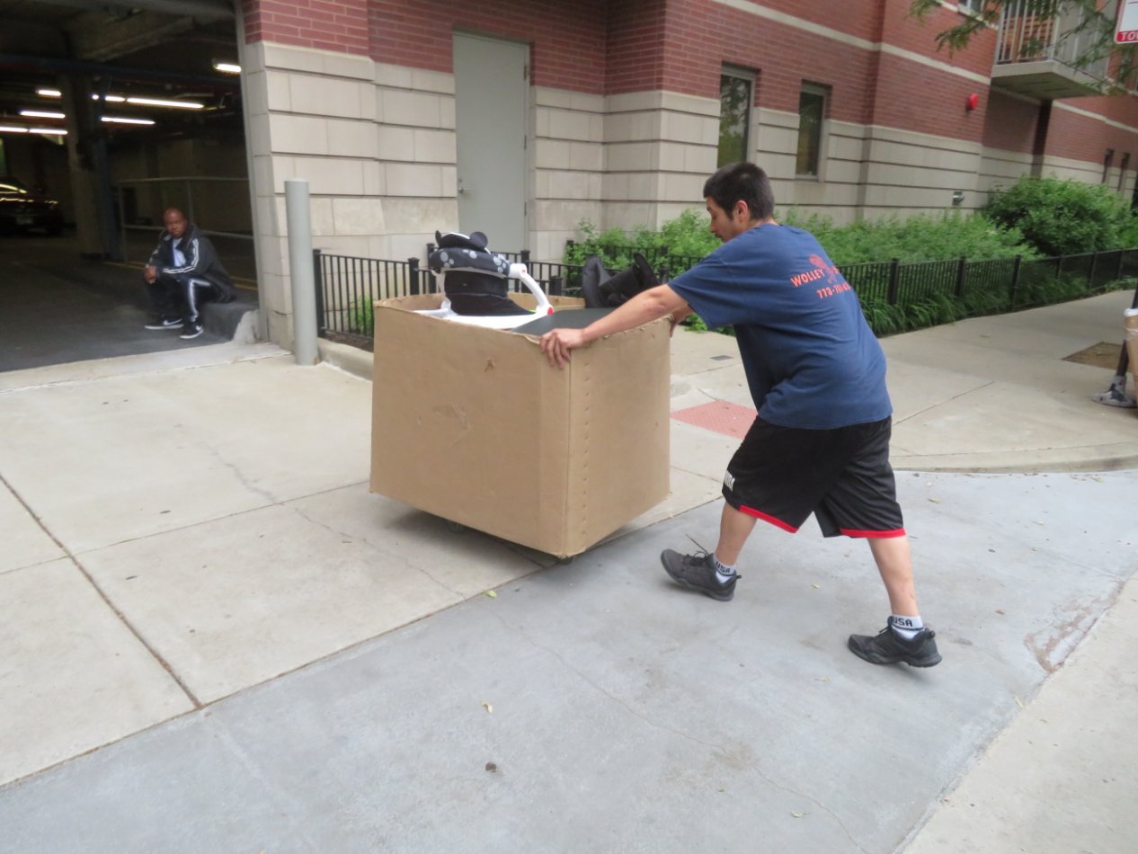 Local Movers Chicago Moving Companies Chicago Wolley Movers
