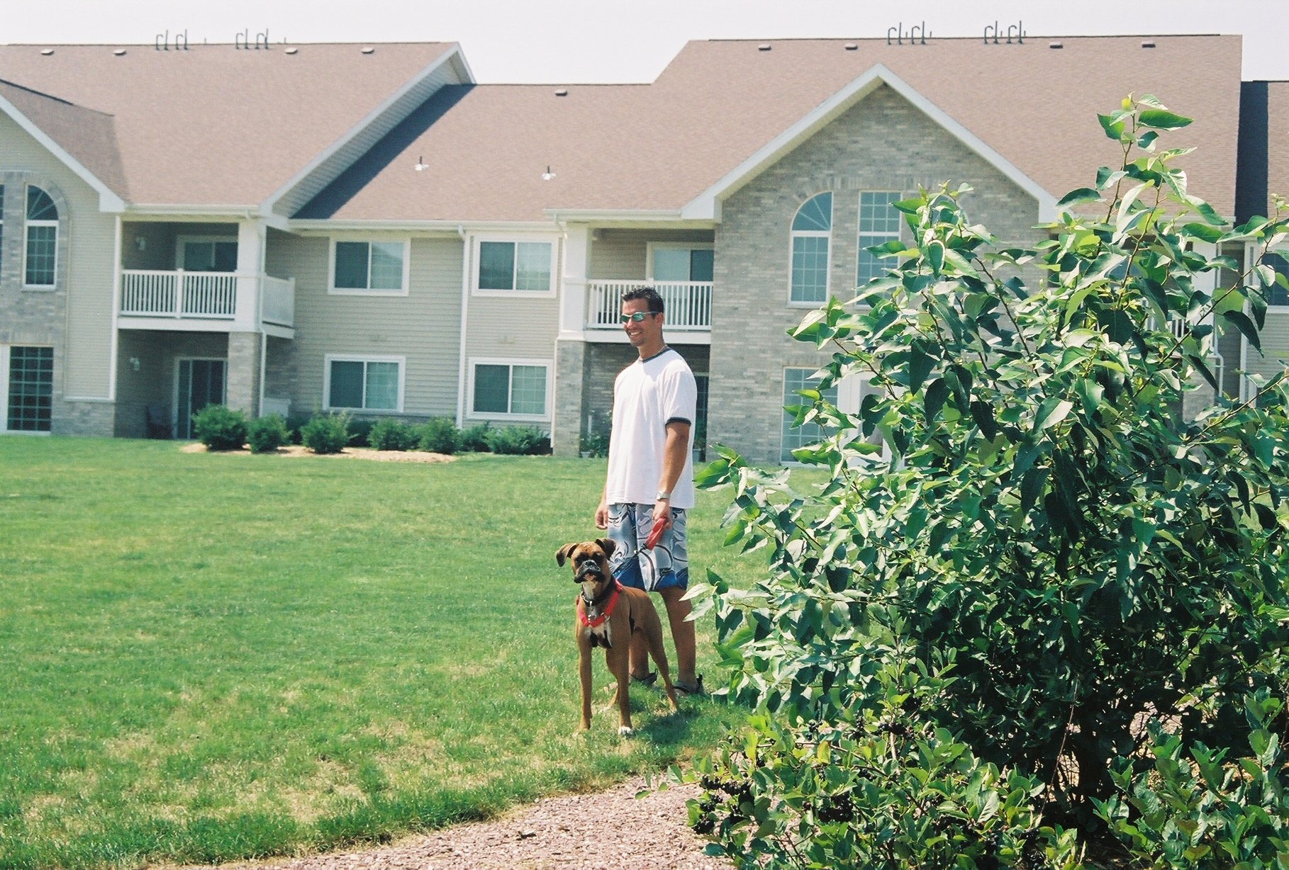 The Madison Apartments