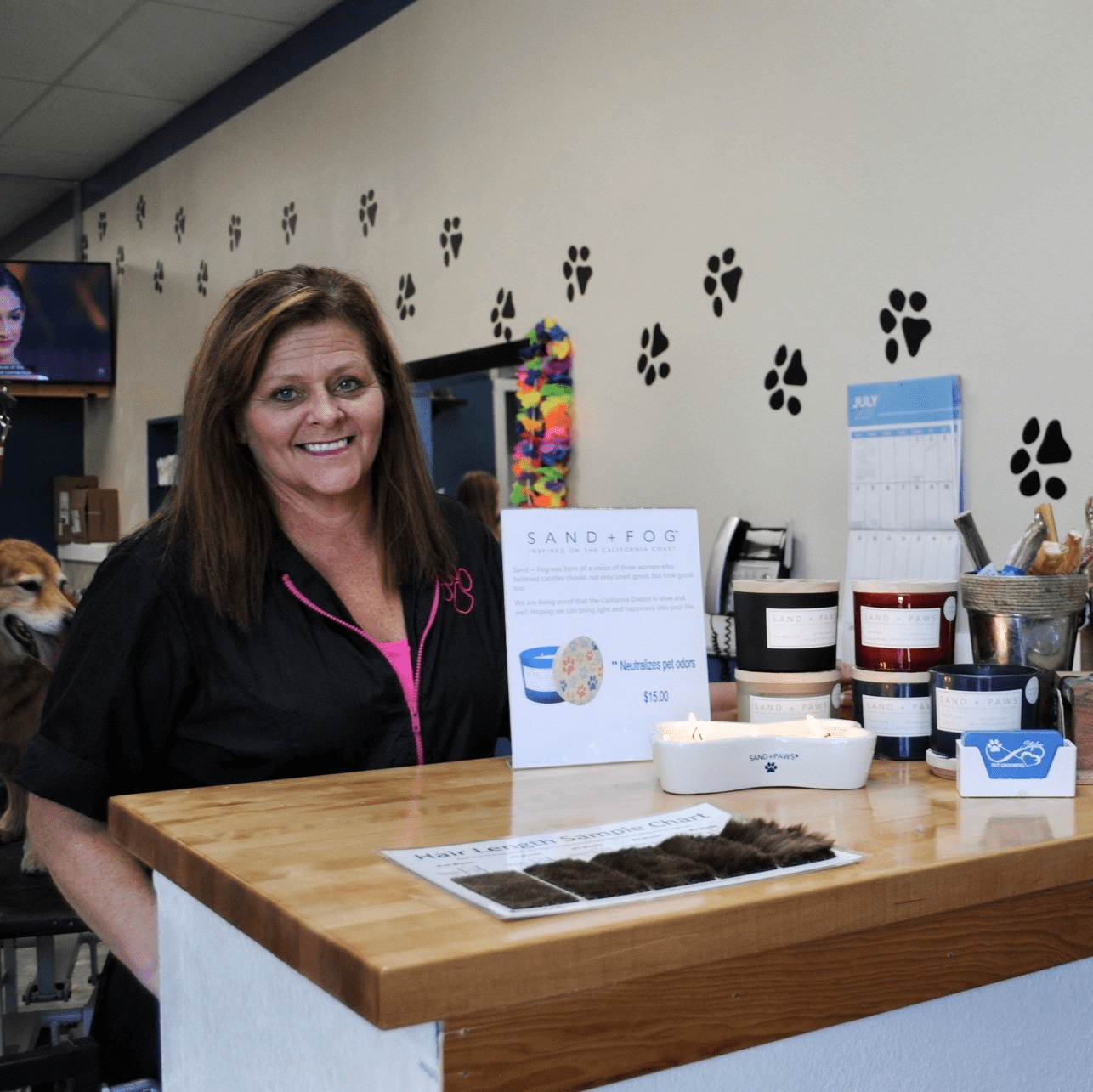 Photo Gallery Yucaipa, CA Styles Pet Grooming