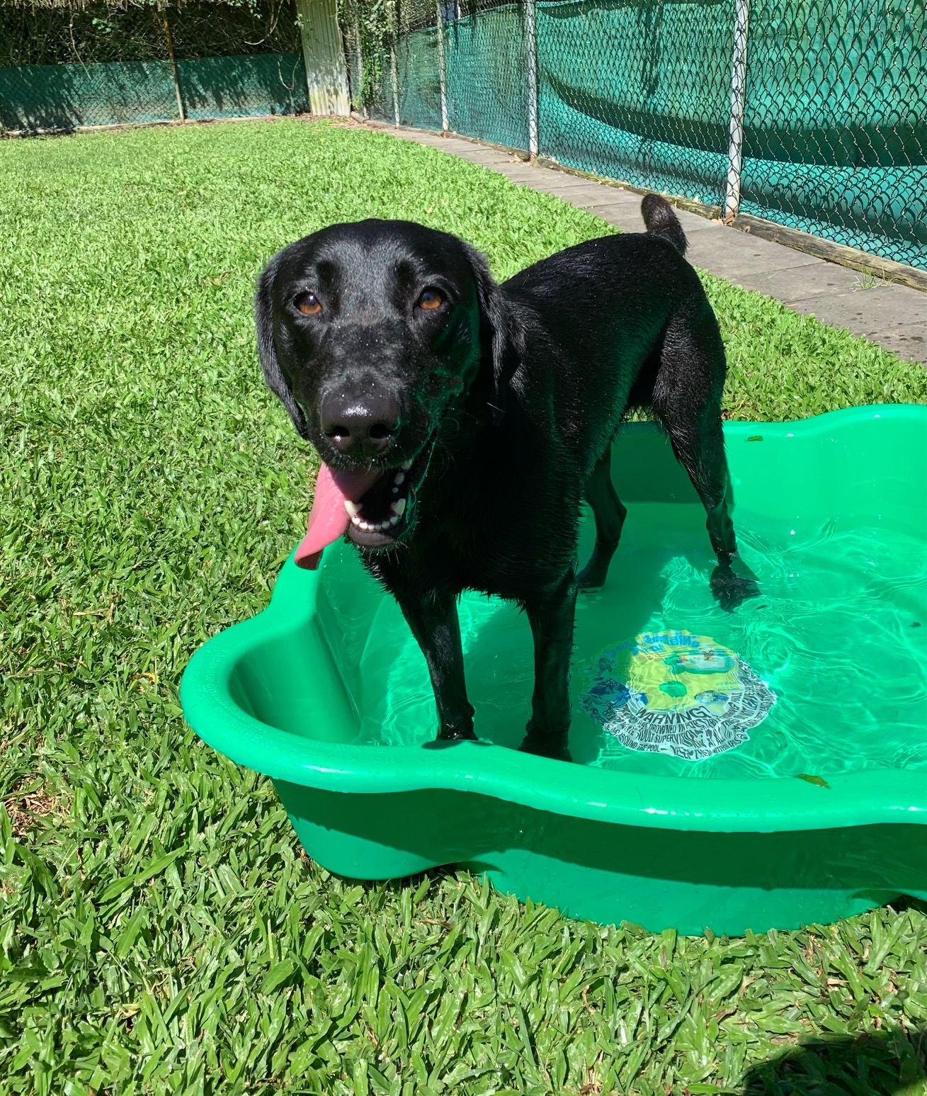 Gallery Kuranda Pet Resort