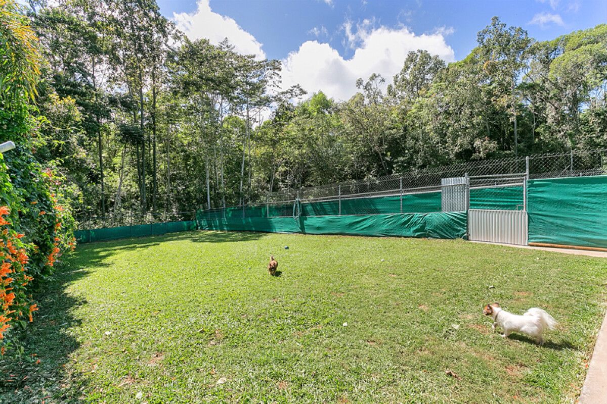 Gallery Kuranda Pet Resort