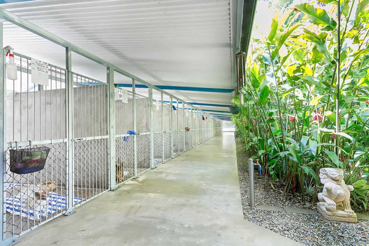 Gallery Kuranda Pet Resort