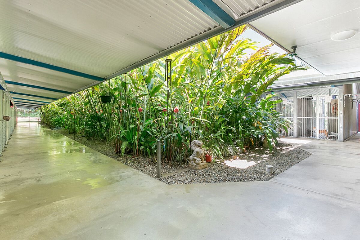 Pet Resort in Cairns Kuranda Pet Resort