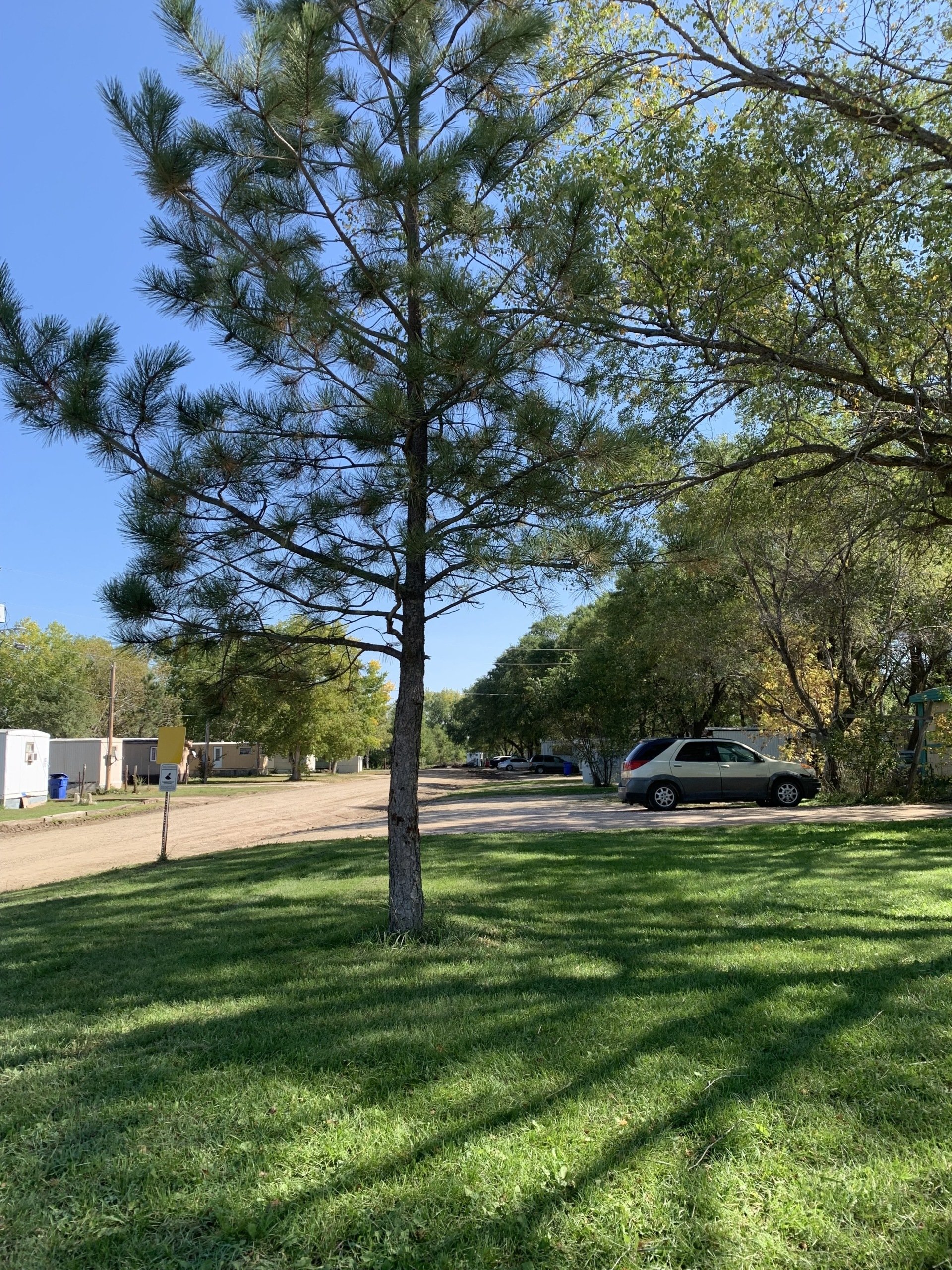 Mobile Homes and Lot Space for Rent in Mission, SD