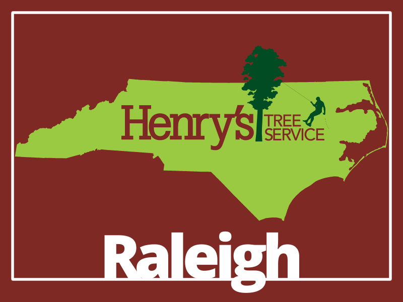 Service Area Tree Service Company Raleigh, NC