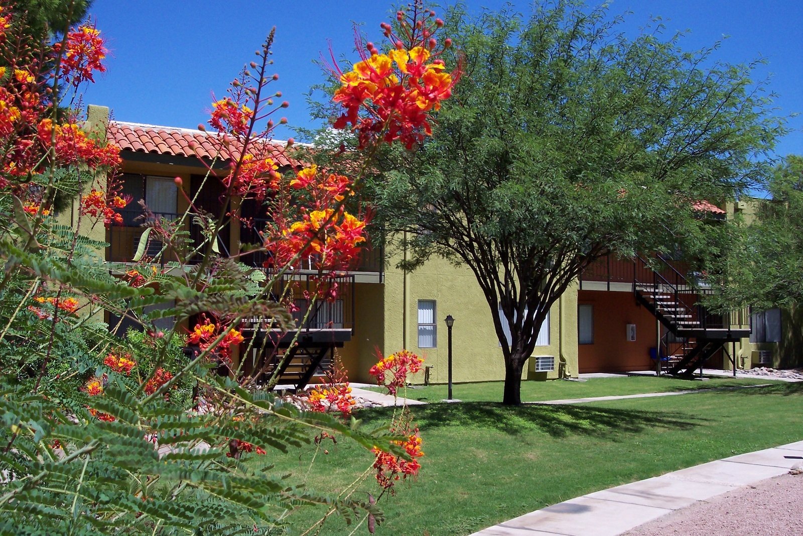Home Villa Del Sol Tucson, AZ