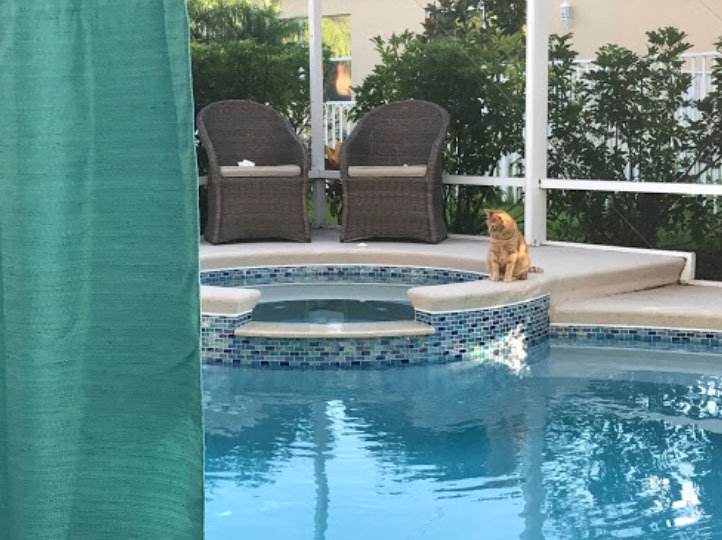 Swimming Pool Service & Repair Vero Beach, FL Pool Maintenance