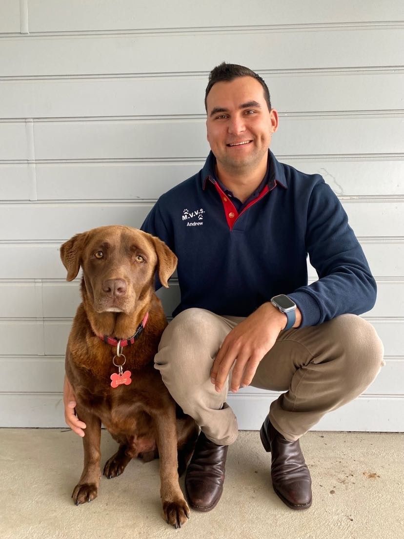 About Us Macleay Valley Veterinary Services