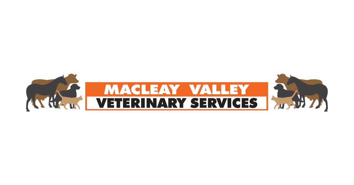 About Us Macleay Valley Veterinary Services