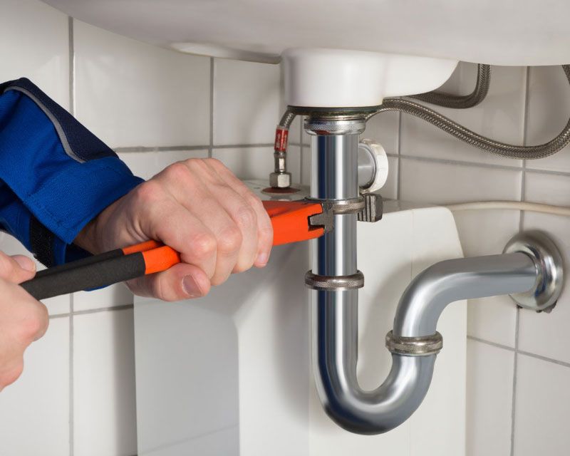 The Drain Daddy Local Plumber Orlando, FL