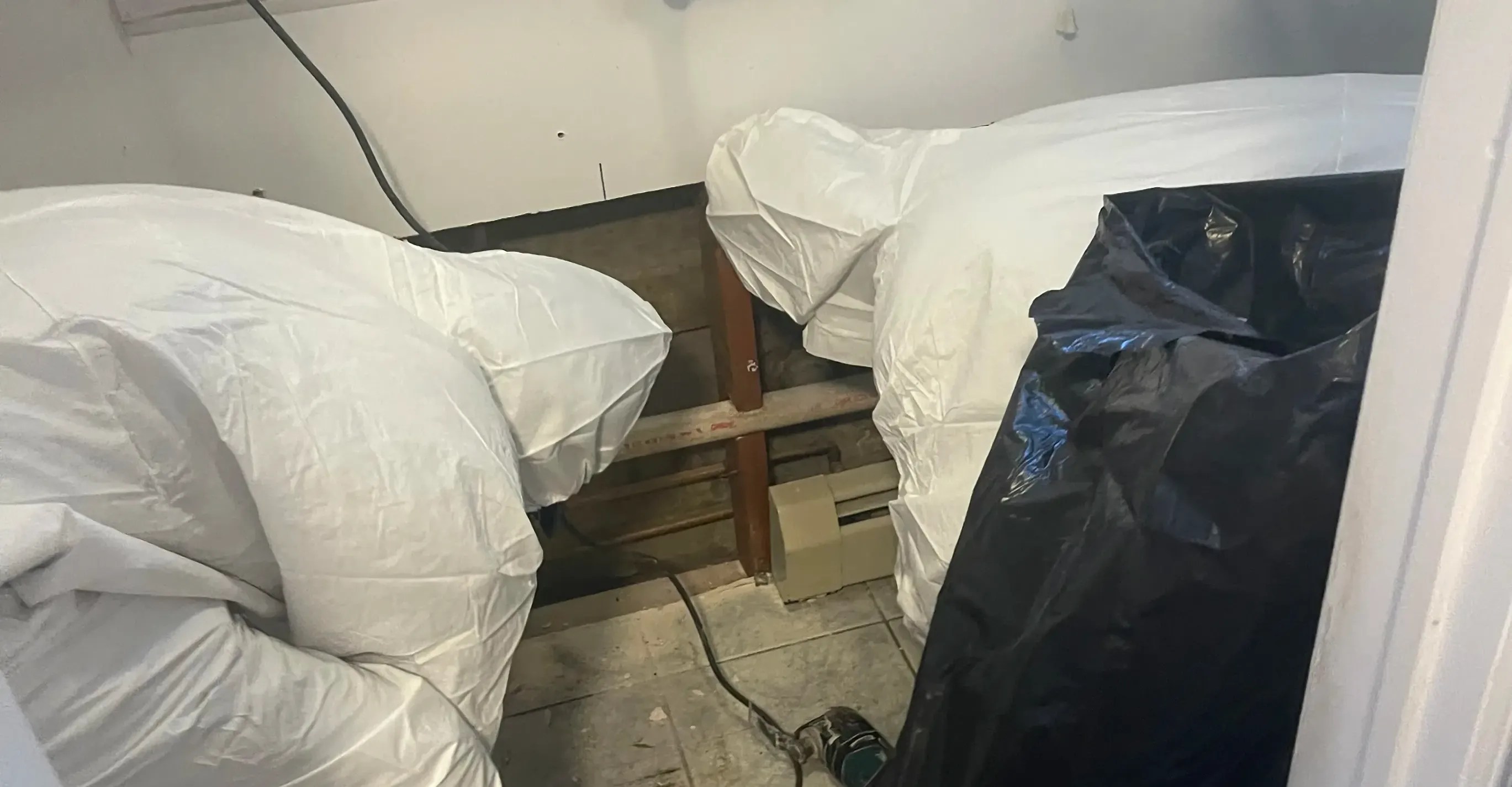 How to Get Rid of Black Mold