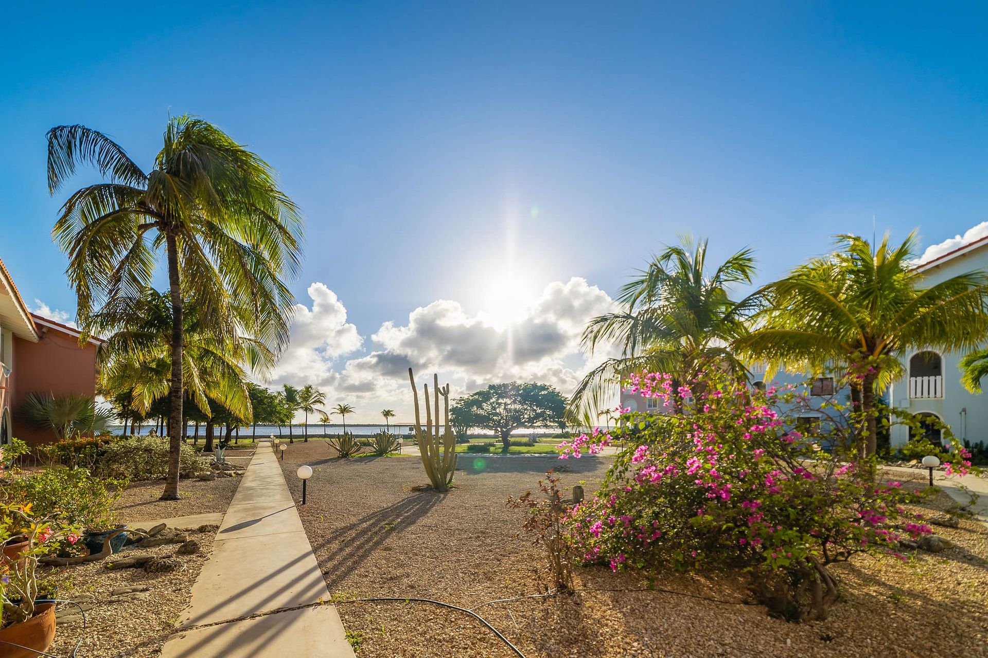 Apartments Sand Dollar Bonaire