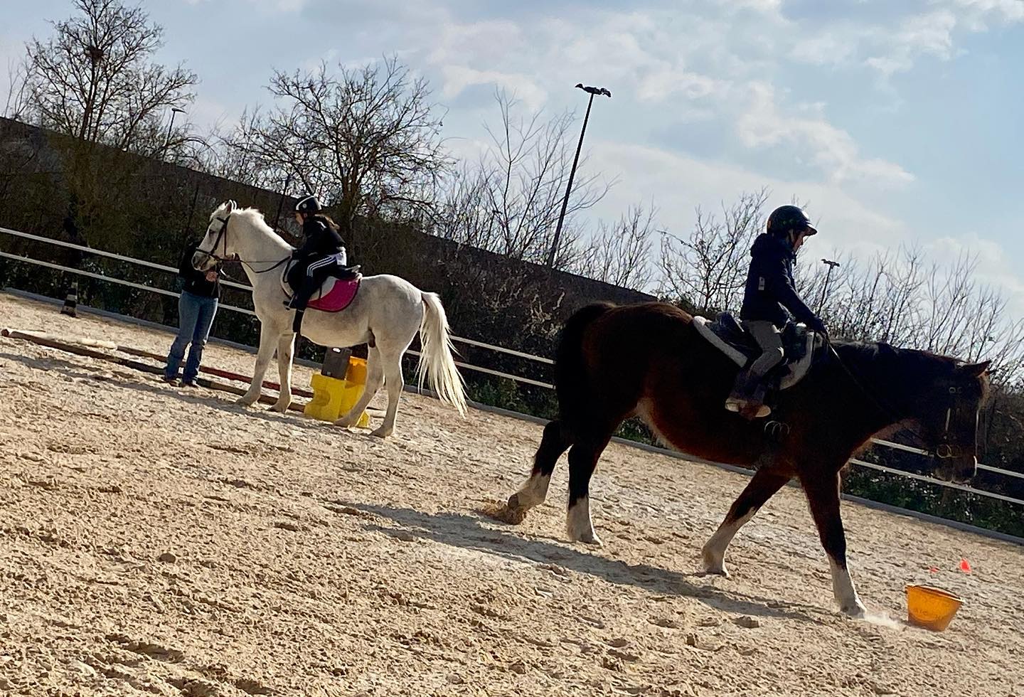 Maneggio a Scandicci (FI) Associazione 7 Regole Equitazione