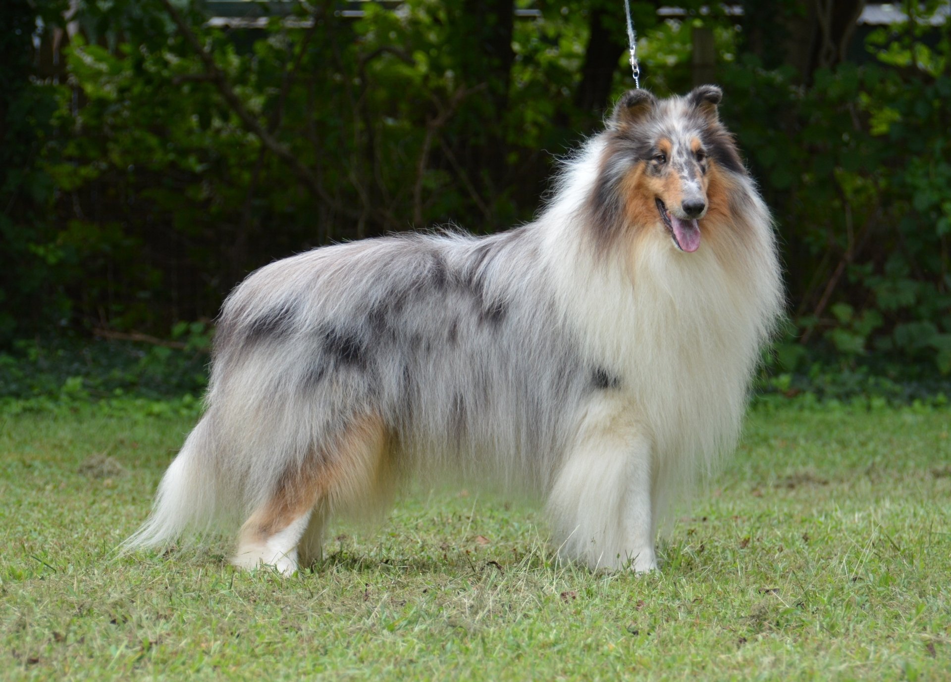 At Your Service Millville, NJ 8568254856