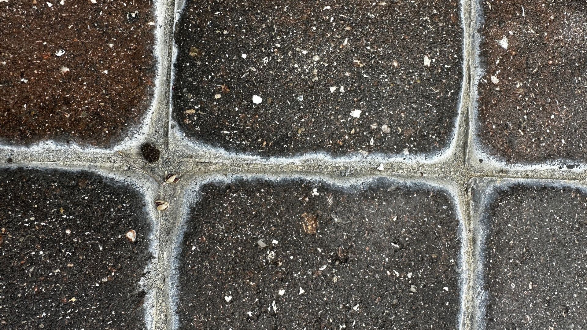 The Mystery of White Spots on Pavers Causes and Solutions