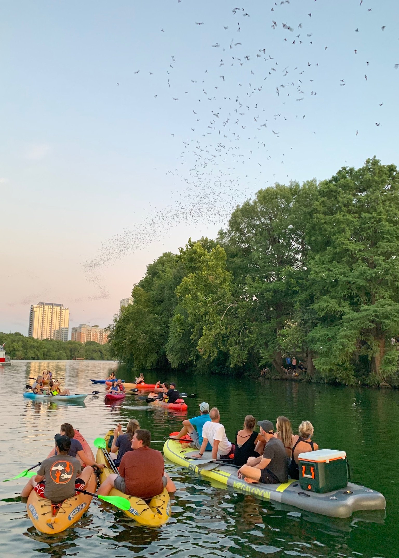 Giant Paddle Kayak Tour Austin Boats and Bats