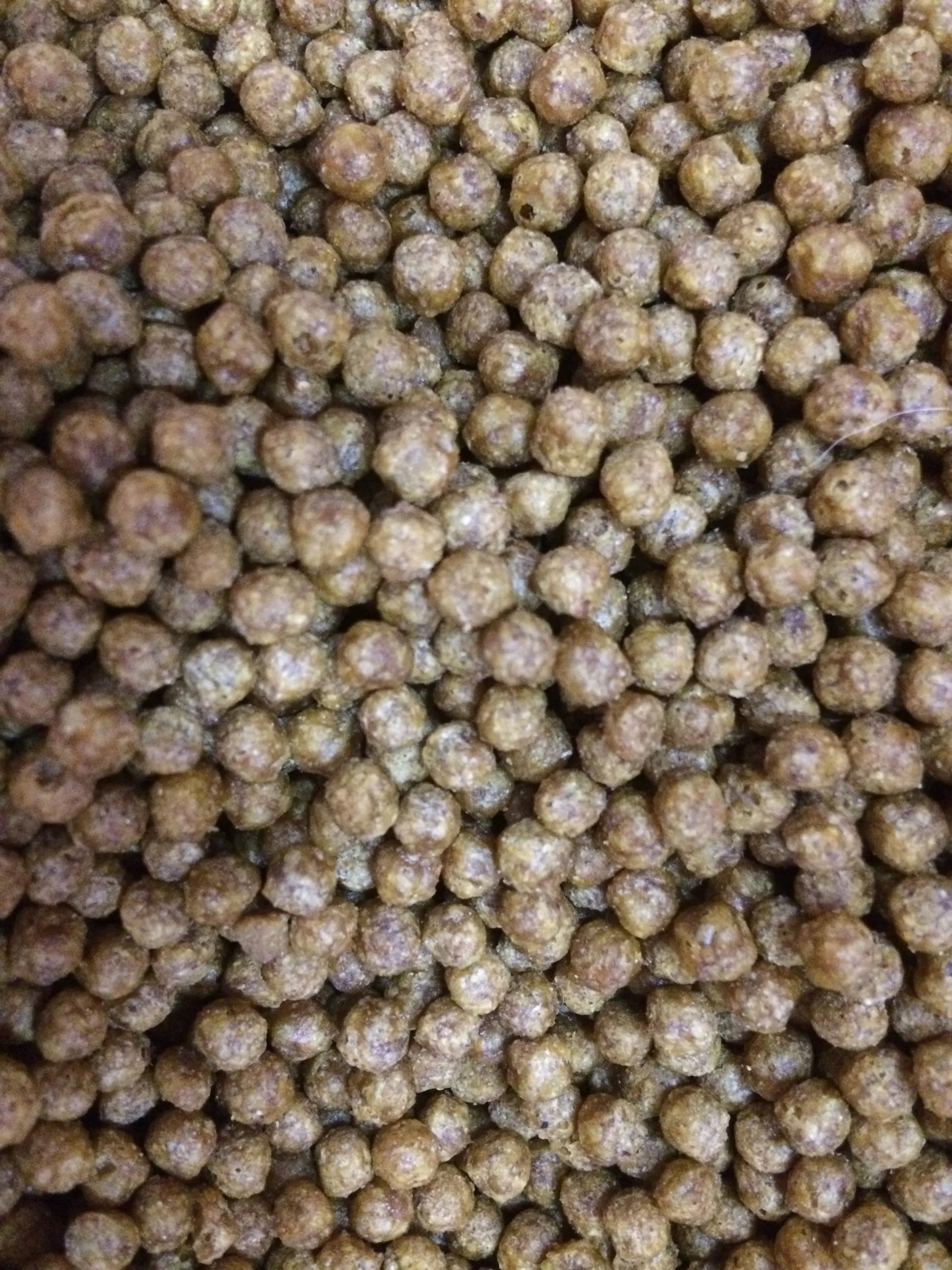 Fishing bait Cricket Inn Pet & Animal Feeds Ltd