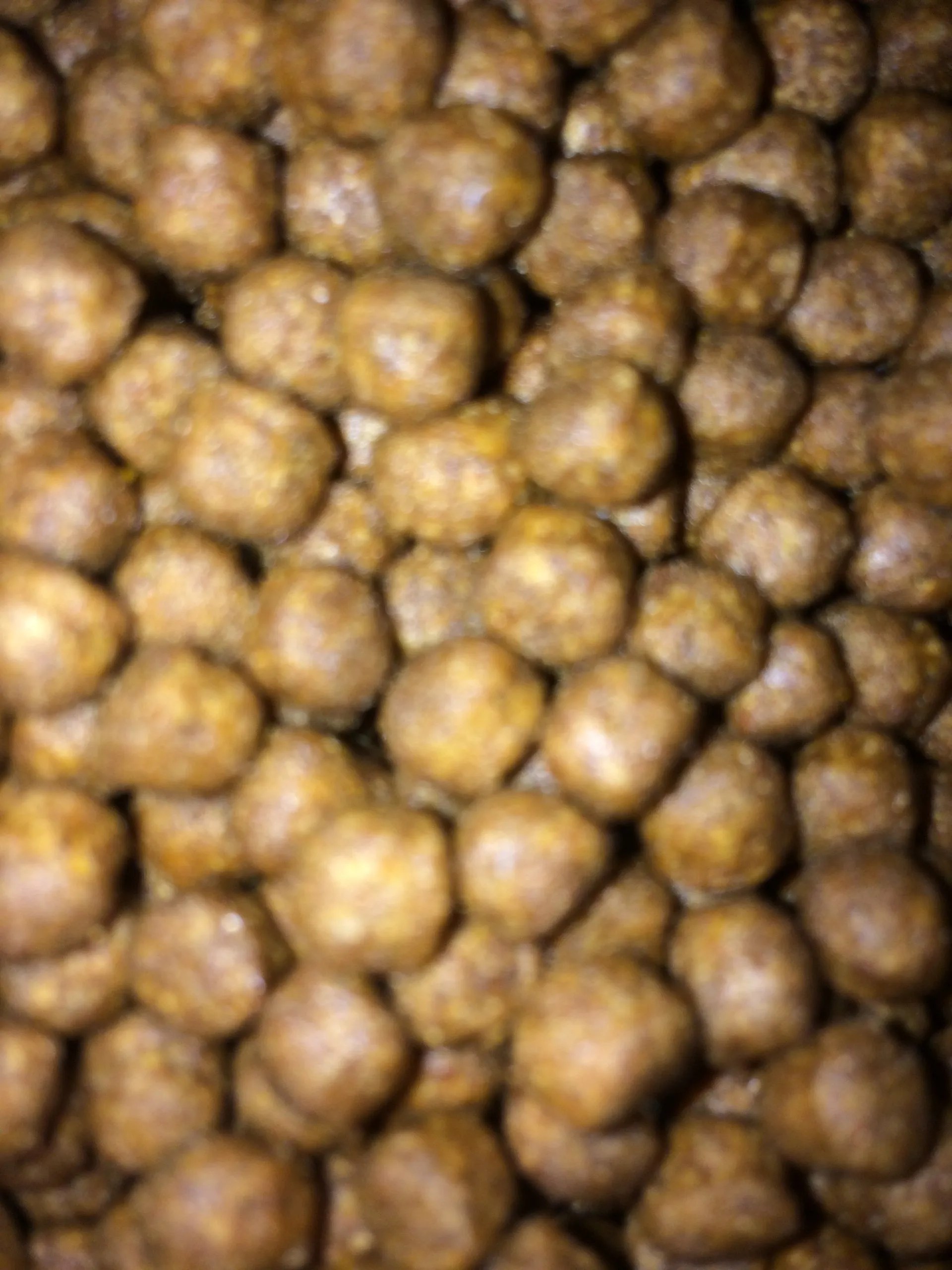 Fishing bait Cricket Inn Pet & Animal Feeds Ltd