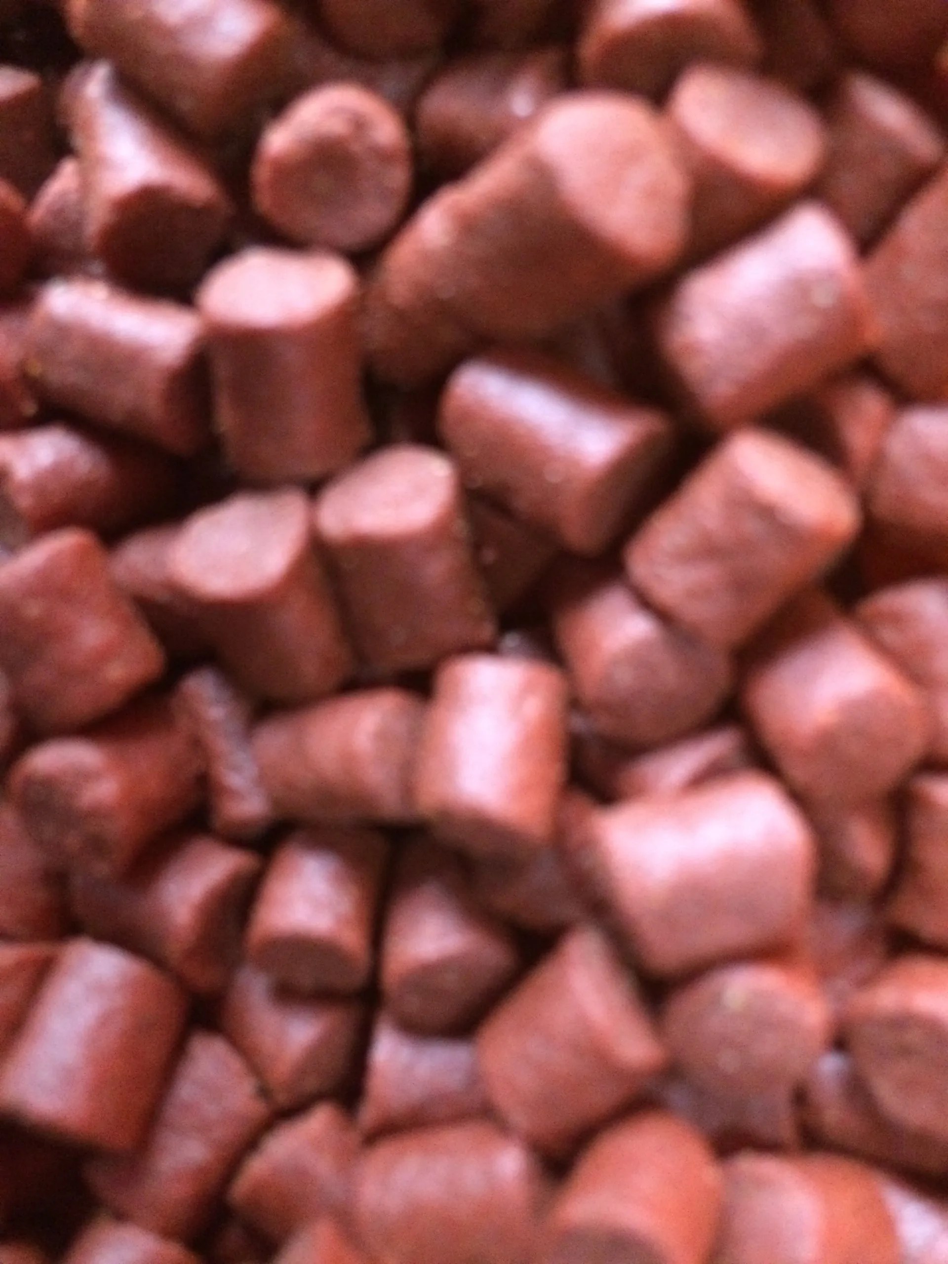 Fishing bait Cricket Inn Pet & Animal Feeds Ltd